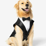 Black Dog Tuxedo